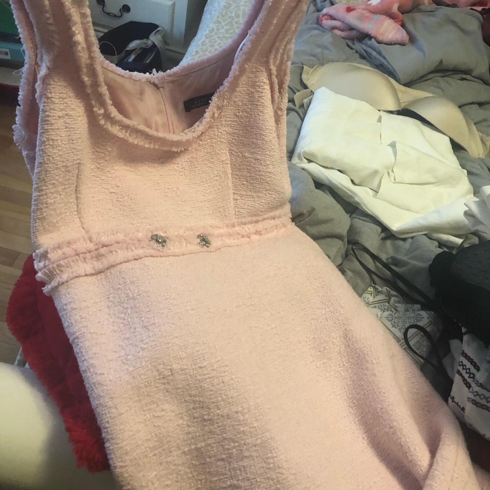 Zara dress channel inspired